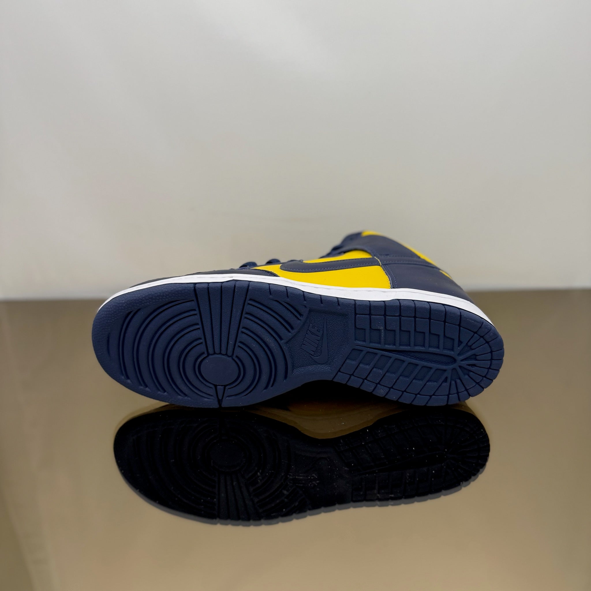 Nike Dunk High Michigan (2020)