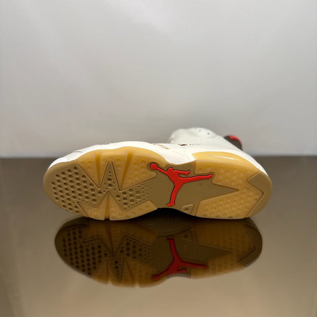 Jordan 6 Retro Quai54 Sail Brown (2020)