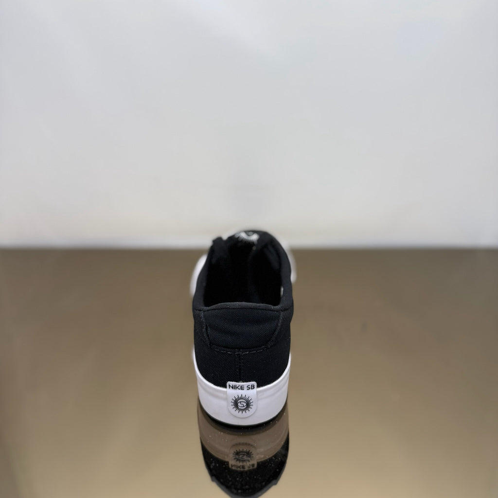 Nike Shane SB