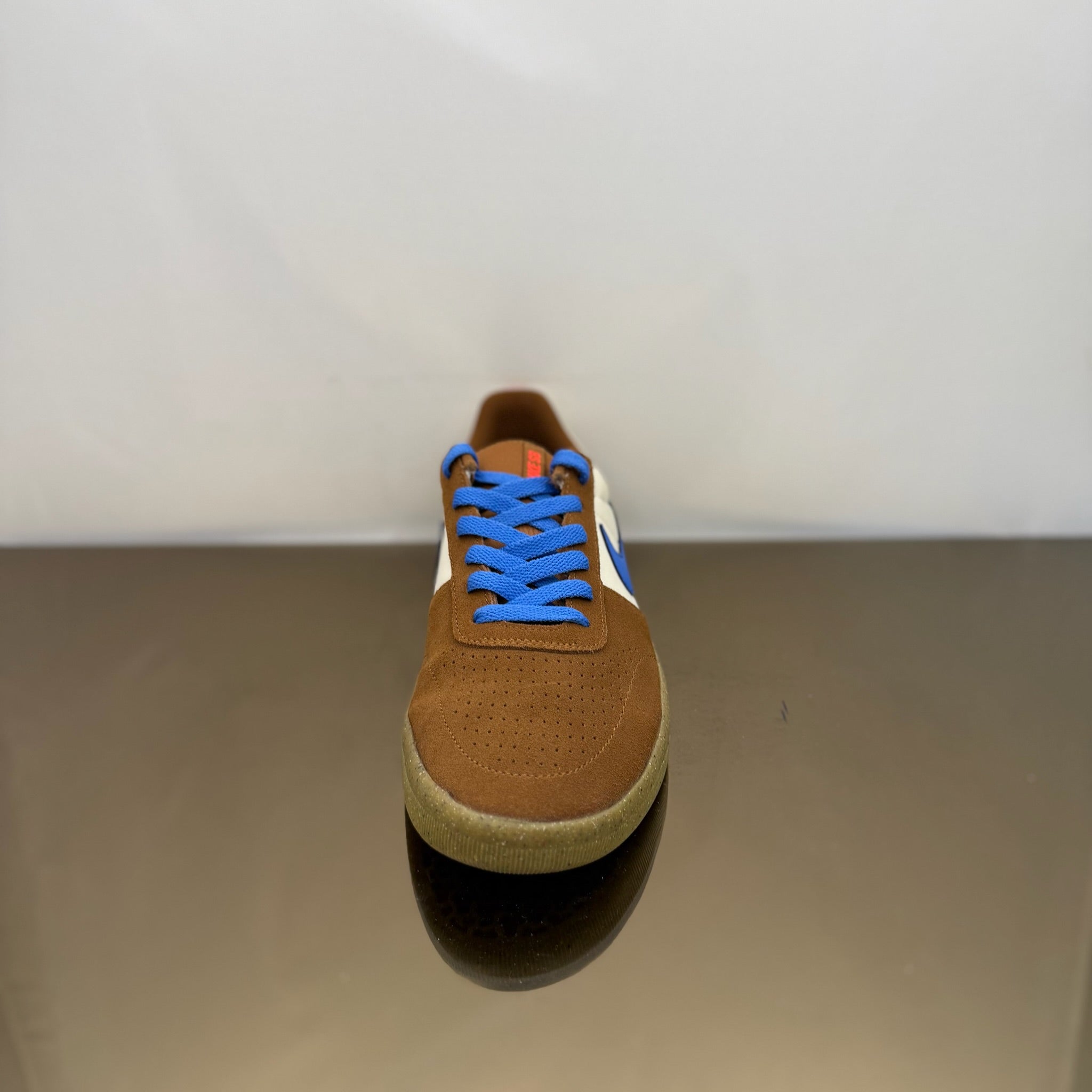 Nike SB Team Classic